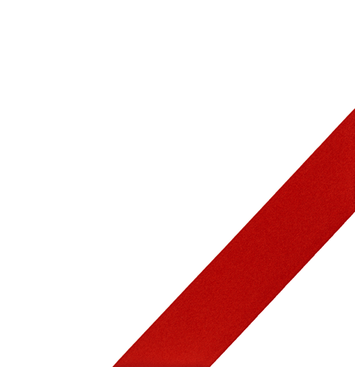 ribbon