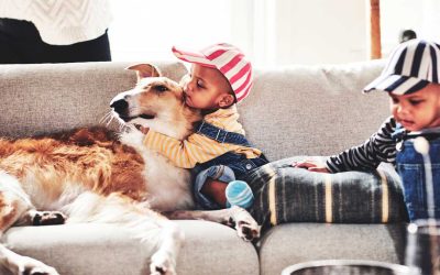 Så får du ett vårfräscht och krispigt vardagsrum