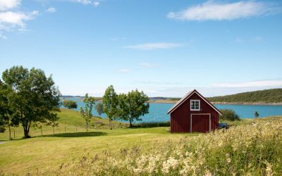 Var fjärde sommarstuga har unken lukt – detta kan lösa problemet