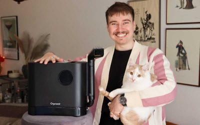 Anton om svenska städhjälpen: “Den är ovärderlig”