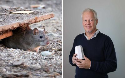 Professorn knäckte koden – nu flyr råttorna från hans uppfinning