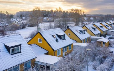 Så skyddar du dig mot vinterns råttinvasion