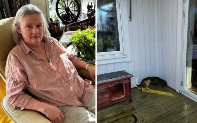 Mössen sprang på vinden – då hittade Carina lösningen