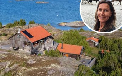 De städade musbajs i en vecka – nu är huset helt musfritt