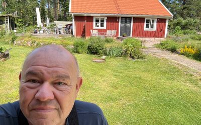 Ny svensk metod mot möss: ”Uppenbart att den fungerar”