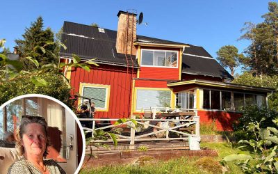 Musfobin plågade henne – en skrämma utvecklad i Luleå blev räddningen